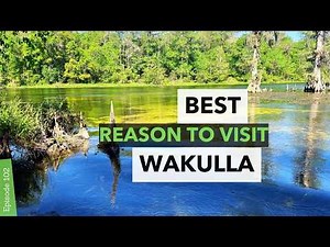 BEAUTIFUL Wakulla Springs State Park RV Trip
