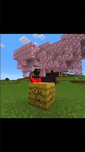 Fast Iron Mining Like a Pro ||