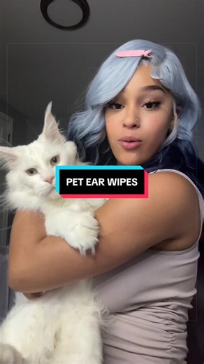 Pet Ear Wipes: How to Clean Your Cat's Ears Safely