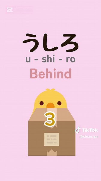 Essential Japanese Vocabulary You Should Know