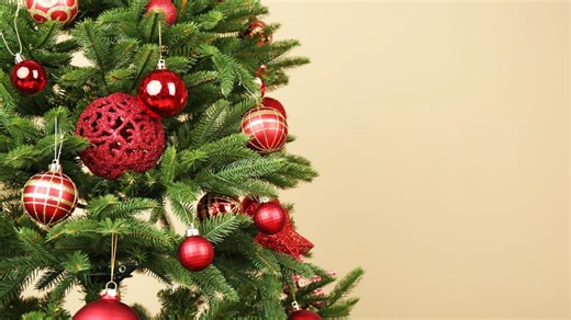 Where to find real Christmas trees in Central Texas and how to care for it, plus allergy tips