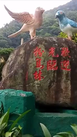 宜蘭東澳粉鳥林漁港