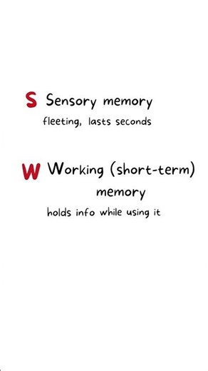 MCAT Types of Memory