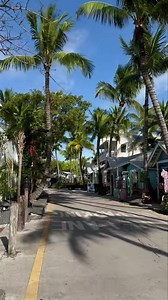 23K views · 973 reactions | LAZY WAY LANE IN KEY WEST…. #KEYWESTCHARTERBOAT #KEYWESTSAILBOAT #KEYWESTPARTYBOAT | FishMonster Key West | Facebook
