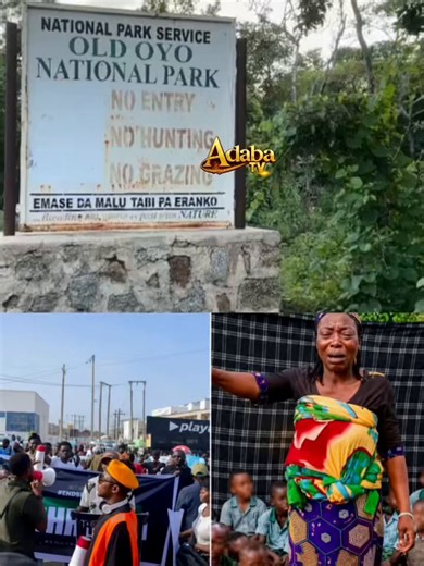 The Sad State of the Old Oyo Amusement Park: A Reflection on Neglect and Lost OpportunitiesThe Old Oyo Amusement Park was once envisioned as a place of recreation, relaxation, and family bonding. It served as a symbol of development and a source of pride for many residents and visitors who saw it as a space where children could play, families could spend quality time together, and communities could come together for leisure activities. Today, however, the story is very different.What was once a