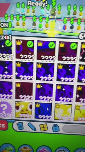 petsimulatorxfan25 on TikTok