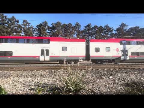 Caltrain 119 at Sunnyvale station on MLK day 2026