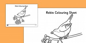 Robin Themed Colouring Pages