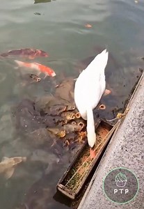 For The Truest Best Friends, Distance Makes No Difference 😅😂😍 | The world in your screen