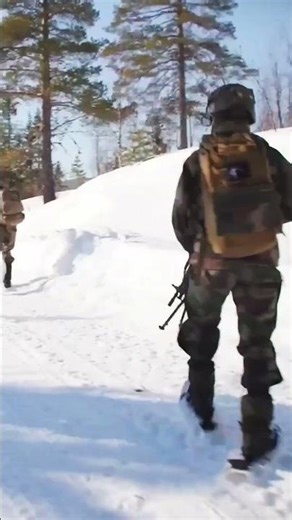 Sniper Climbs Tree in Snowshoes… Just to Make the Shot ❄️💀🎯
