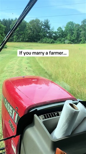 Exploring a Farmer's Toy Collection