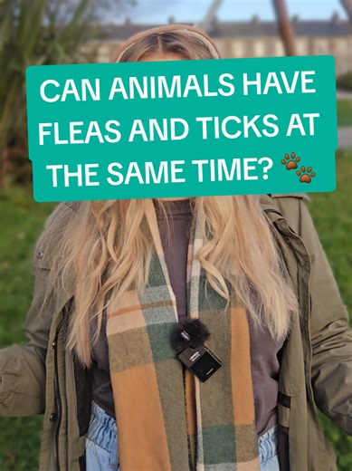 Can Animals Have Fleas and Ticks Simultaneously?