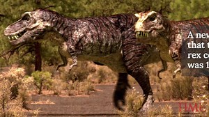 19 reactions | The Tyrannosaurus rex wasn’t as fast as scientists thought. In fact, it would have broken its legs if it tried to run. | TIME for Kids | Facebook