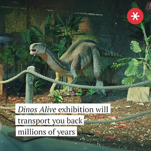 865K views · 4K reactions | A fascinating exhibit with more than 80 life-sized, moving specimens!! 練 bit.ly/DinosAlive-SEA | Secret Seattle | Facebook