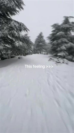 Experience the Thrill at Mont Riant Ski & Snowboard Club