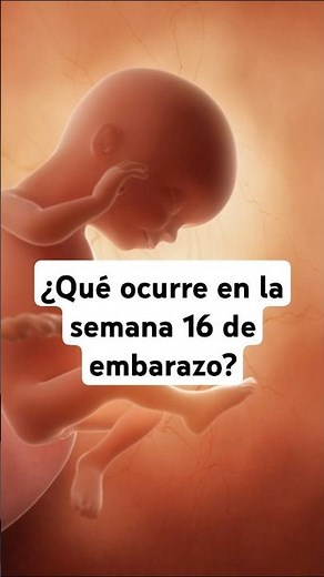 🤔 ¿Qué ocurre en la semana 16 de embarazo? 🤰 Síntomas y desarrollo del bebé