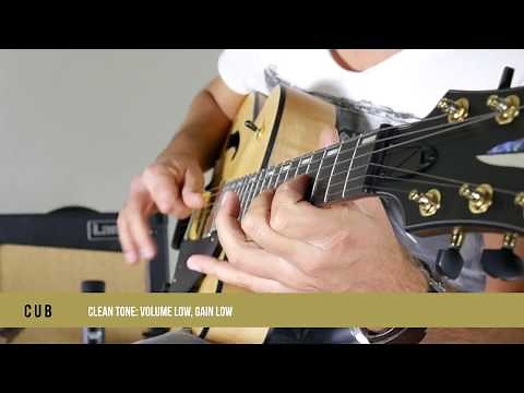 Laney CUB12R Demo