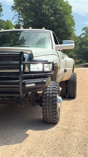 Hank 2ndgen Bubba Truck Dually Dixie — Truck Showcase