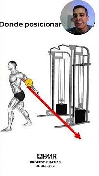 Bayesian Curl Pulley Height #biomechanics #anatomy