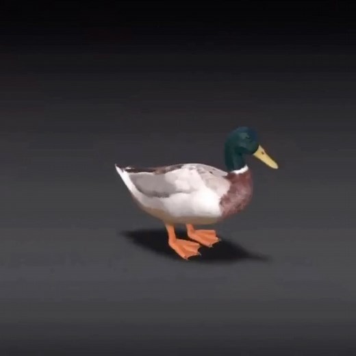 a | Duck spinning gif v2 | Instagram