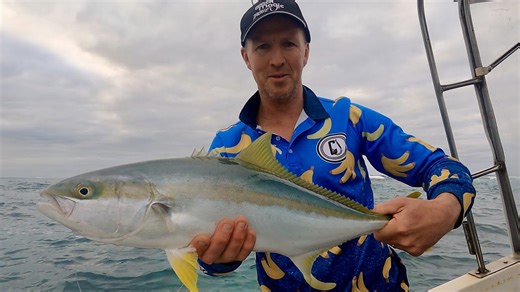 Yellowtail kingfish and crayfish for dinner in the wash zone