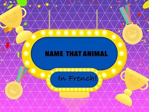 Animal Trivia! Learn French!