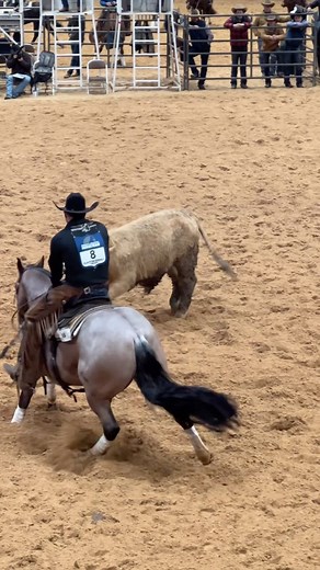 3.2K views · 114 reactions | Von Cali ridden by @edsallperformancehorses starts the Worlds Greatest Horseman herd work prelims with a 218. #classicequine #playtowin | Classic Equine | Facebook