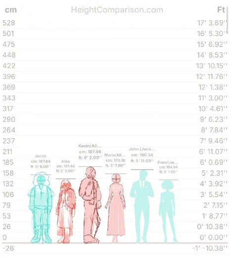 Human height Timelapse 