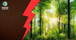 How to See Bright, Vivid Images in Your Mind's Eye