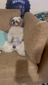 452K views · 10K reactions | Sisante kana tito Doms  Super Twins Baby Diaper boss amo ka❤️ | Panda Pandesal | Facebook