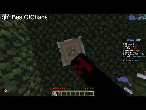 Donut Smp Reset Challenge Day 1