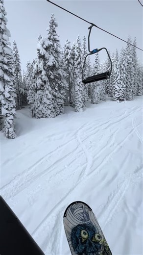 Past 2 trips to the mountain were steez #snowboard #aesthetic #nowlaugh #xyzbca #fyp