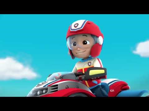 Pups Save a Dolphin Pup-clip10