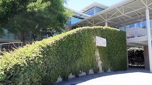 15 Most Amazing Videos in The World