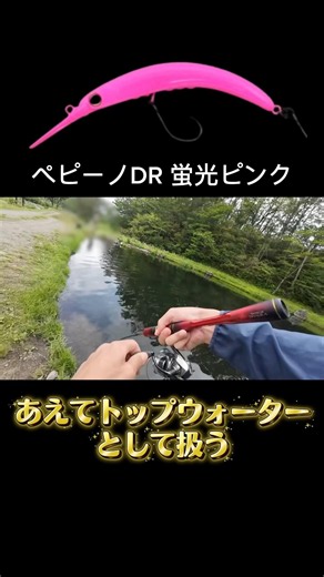 渋いときはセオリーから外れることで引き出せる釣果がある #釣り #fishing #エリアトラウト #おかっぱり