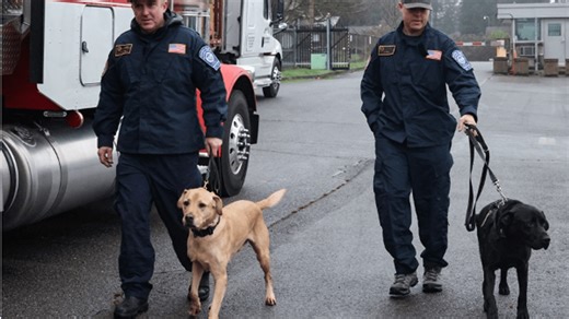 FEMA Urban Search & Rescue, canine disaster search teams head to WA after flooding