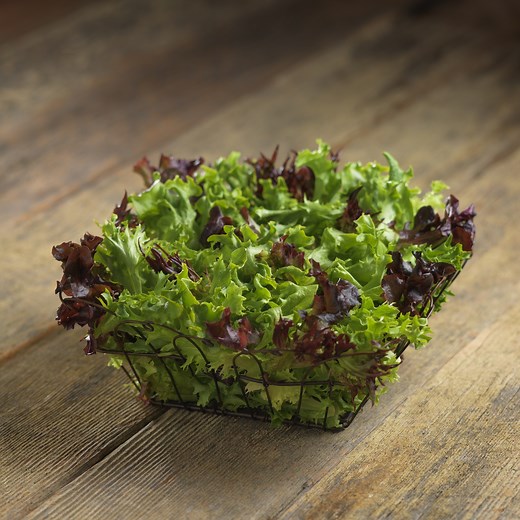 Arcadian Harvest Classic® - Foodservice by Mann Packing