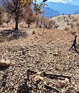 622K views · 7.9K reactions | Tribal Guardian A Nomadic Woman's Determined Efforts to Safeguard Her Farm | Cooking TV | Facebook