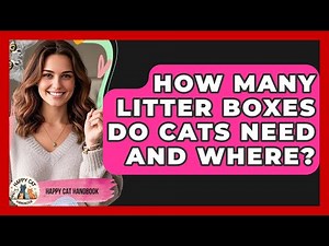 How Many Litter Boxes Do Cats Need And Where? - Happy Cat Handbook