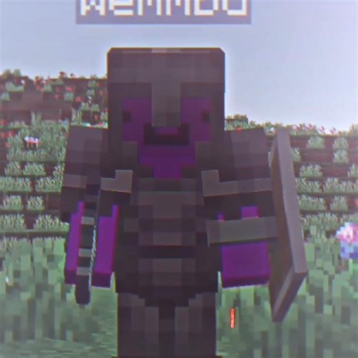 The solution in Unstable SMP #minecraft #unstablesmp #wemmbu