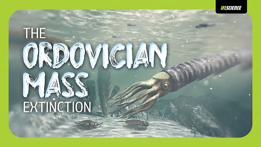 Video: The Ordovician Mass Extinction