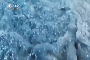 How cute😍❤️ | It's okay ツ