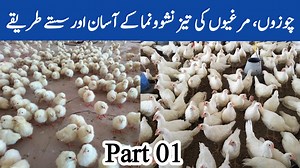 Dr. Arshad Veterinary Clinic on Reels