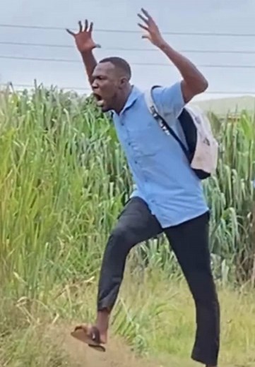 Bushman Prank Videos: Hilarious Ghanaian Pranks
