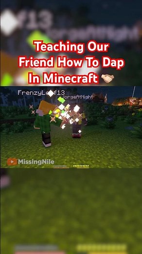Teaching Our Friend How To DapIn Minecraft 🫱🏻‍🫲🏽