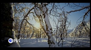 ❄️ Explore the frozen extremes of our planet! Learn from polar bears in the Arctic, penguins in Antarctica, and more as they unveil vital clues about our future world. Join us tonight at 10 for 'Evolution Earth.' Don't miss this chilling adventure! #EvolutionEarthPBS #VegasPBS | Vegas PBS | Facebook