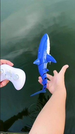 Remote Control Shark Toy #fish #toys