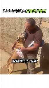 A Heart-Wrenching Reunion That Will Bring You to Tears.. #Dog #Pet