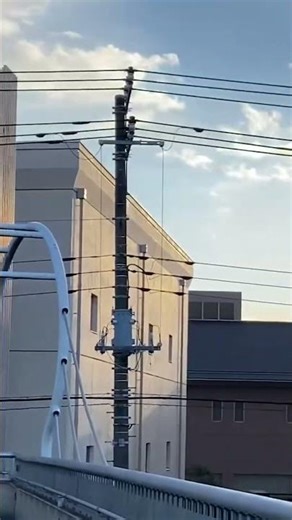 How a "Super Bus" Destroyed a Japanese Railway 🤯