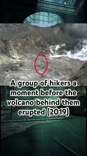 The Whakaari Incident (2019)